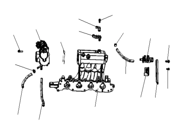 Схема: Впускной коллектор и дроссельная заслонка Chana Benni