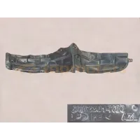 Передні підкрилки