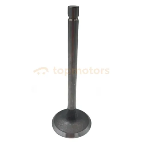 Клапан впускний Great Wall Safe (1007016-E00)