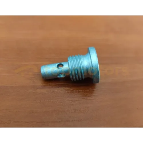 Болт распредвала Chery Beat (481H-1003031)