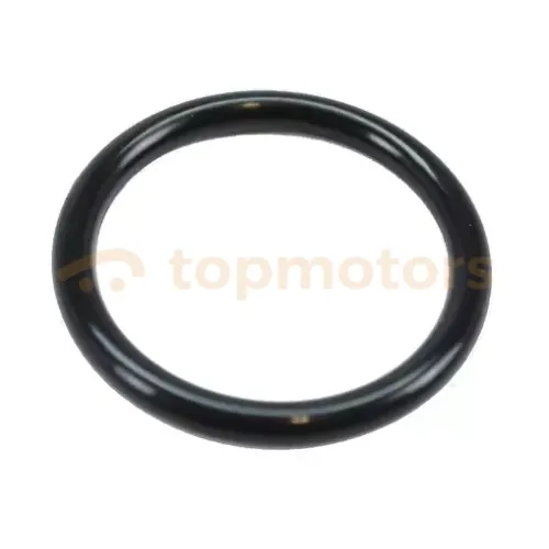Кольцо помпы (насоса водяного) Chery Tiggo 2.0-2.4 (SMD030764)