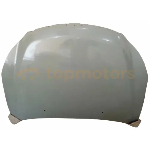 Капот Chery E5 (A21-8402010FL-DY)