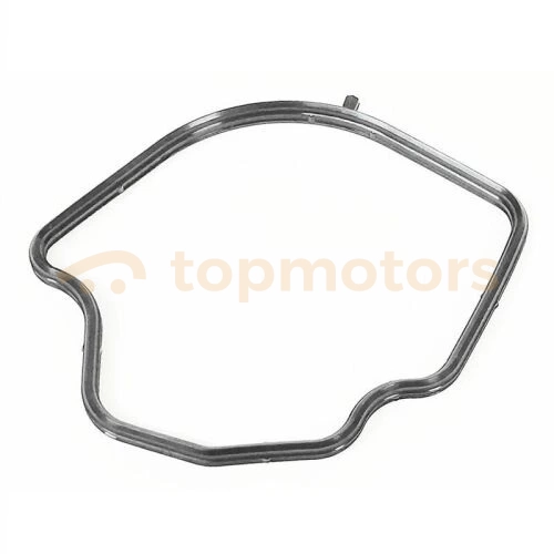 Прокладка дросельної заслінки Geely SL (1136000219)