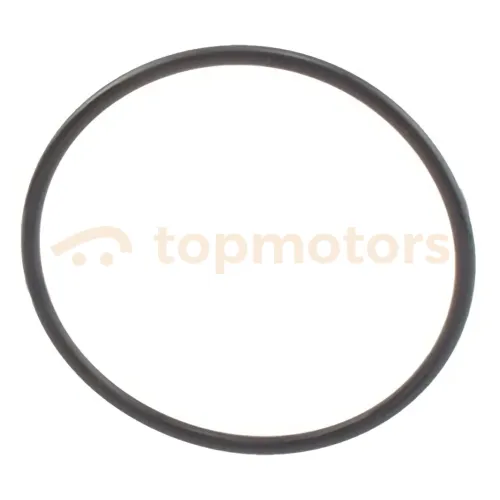 Прокладка помпы (кольцо водяного насоса) Geely GC7 (1016050825, 1136000208)