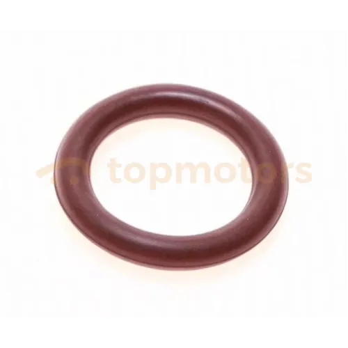 Кольцо форсунки топливной нижнее BYD F3 1.6 (AY-O2210)