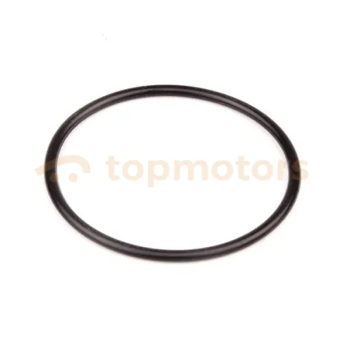 Кольцо масляного фильтра Chery Tiggo 3 (E4G16-1012031)