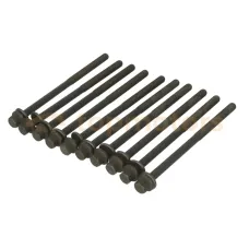 Болты ГБЦ (комплект 10 шт)