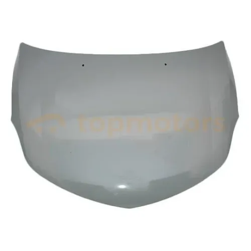Капот ЗАЗ Форза (A13-8402010-DY)