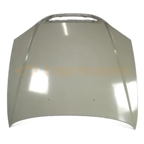 Капот Chery Eastar (B11-8402500-DY)