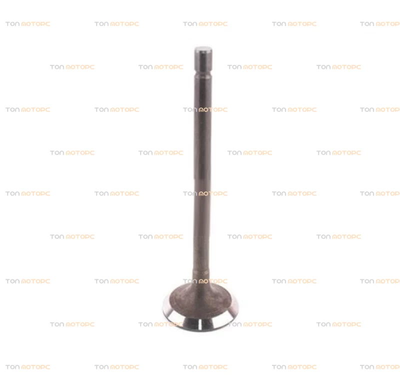 Клапан впускний (по шт) для Great Wall Haval H5 (2.0 дизель) ⚡ 1007011-ED01
