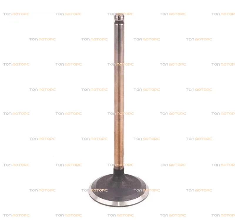 Клапан впускной (по шт) для Geely Emgrand EC8 ⚡ 1016050984, 1030003100