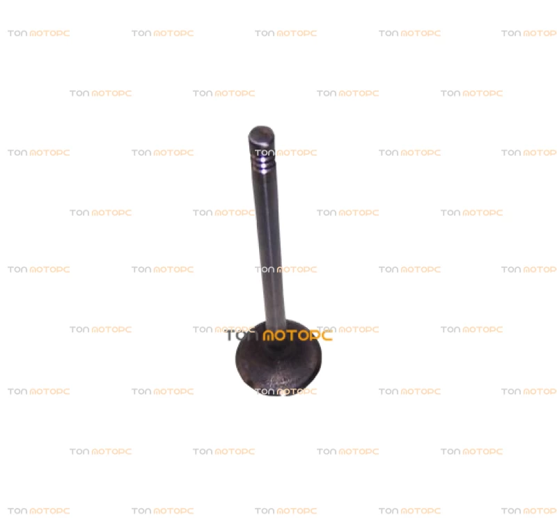 Клапан впускной (по шт) для Chery Jaggi ⚡ 473H-1007011BA