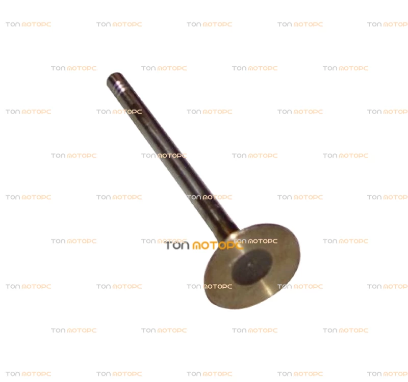 Клапан впускной (по шт) для Chery Amulet 1.6 ⚡ 480E-1007011, 480EF-1007011