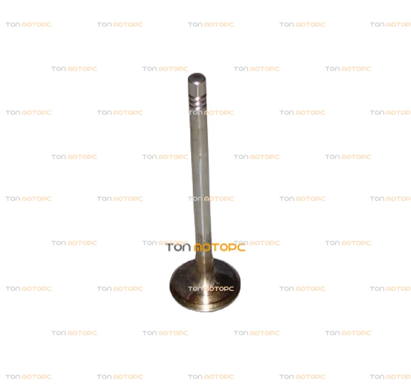 Клапан выпускной (по шт) для Chery Amulet 1.6 ⚡ 480E-1007012, 480EF-1007012