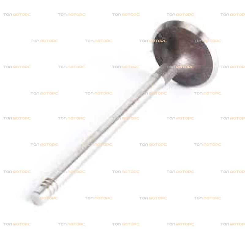 Клапан впускной (по шт) для Chery Arrizo 7 ⚡ E4G16-1007011